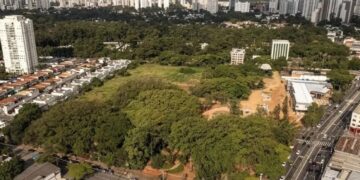 Divulgação Lavvi