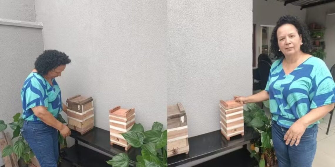 Soraia Santos de Liro Guirão, cuida de colmeias de abelhas Jataí e Mandaçaia. — Foto: Cedidas/ Soraia Santos