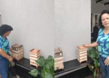 Soraia Santos de Liro Guirão, cuida de colmeias de abelhas Jataí e Mandaçaia. — Foto: Cedidas/ Soraia Santos