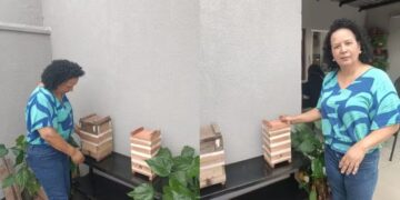 Soraia Santos de Liro Guirão, cuida de colmeias de abelhas Jataí e Mandaçaia. — Foto: Cedidas/ Soraia Santos