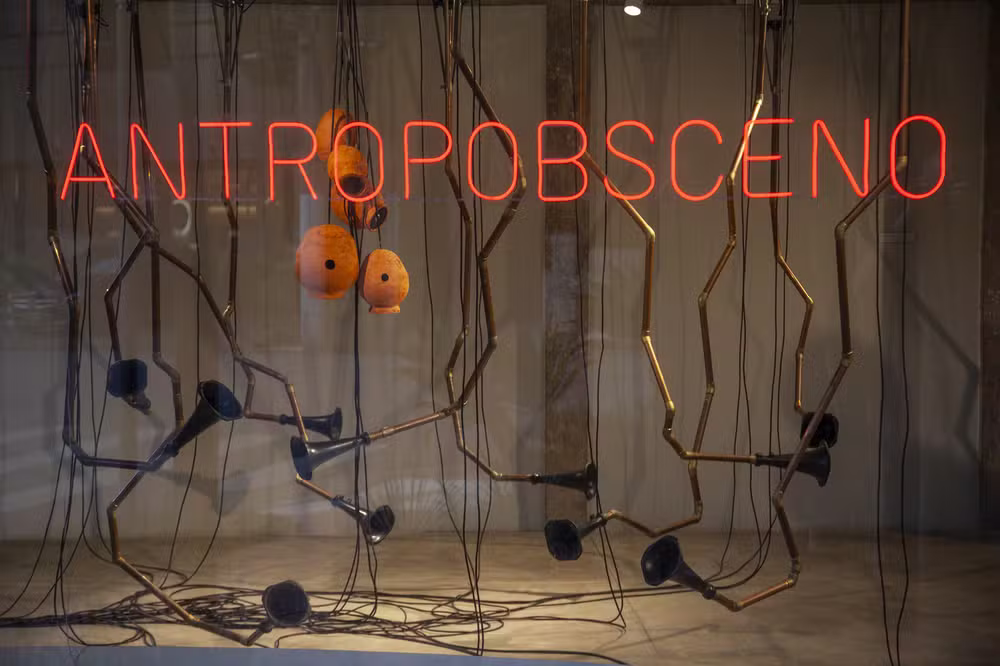 DW! Semana de Design de São Paulo chega aos 15 anos com mostras que redefinem brasilidade, arte e legado