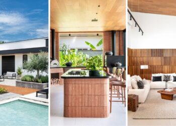 Foto: Renato Navarro (@renatonavarrofotografia)