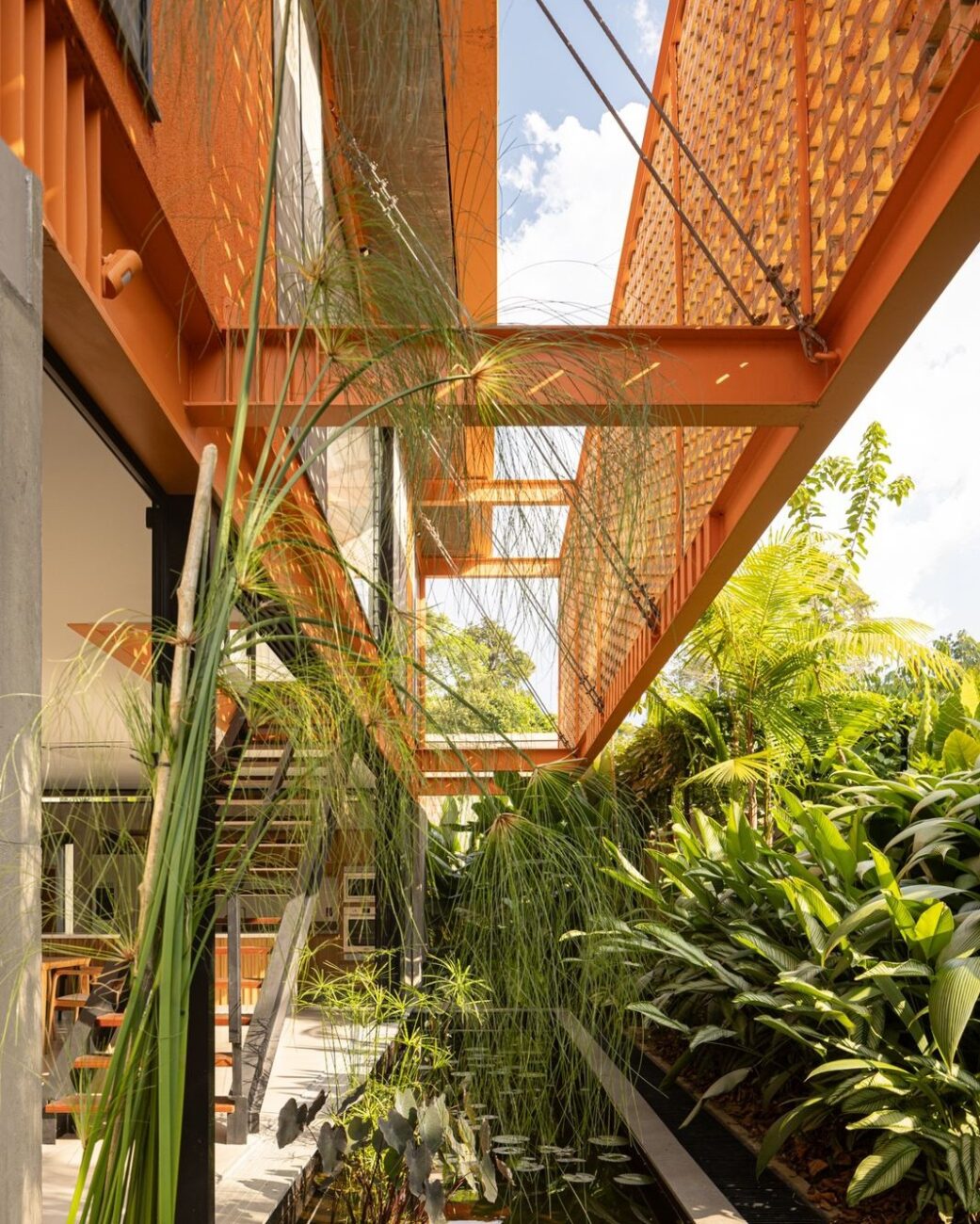 Casa Pupunha: a residência em Manaus projetada ao redor de uma palmeira nativa