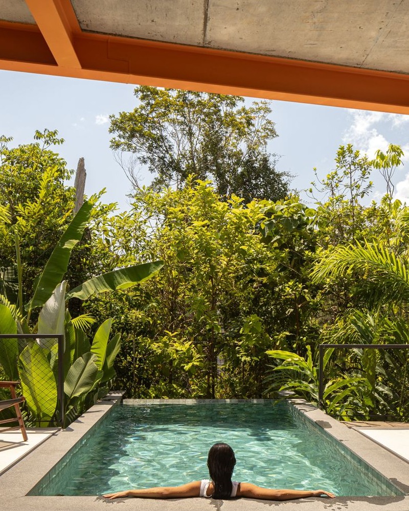 Casa Pupunha: a residência em Manaus projetada ao redor de uma palmeira nativa