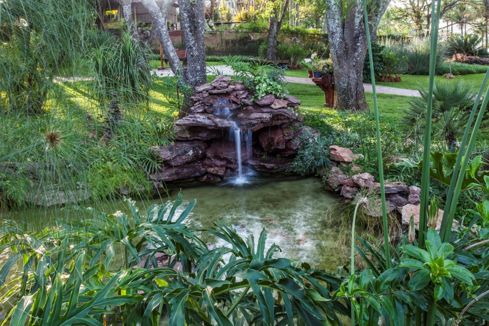 Por que seu jardim ainda não te acalma? A resposta está nos 5 sentidos