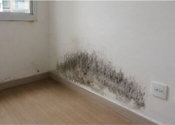 Apartamento novo com mofo na parede: quem tem razão, o morador ou a construtora?