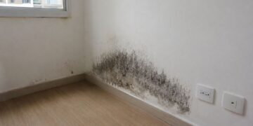 Apartamento novo com mofo na parede: quem tem razão, o morador ou a construtora?