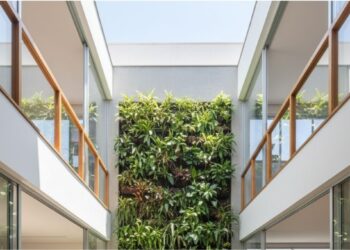 Átrio: por que arquitetos colocam um buraco no meio da casa e o que isso resolve?