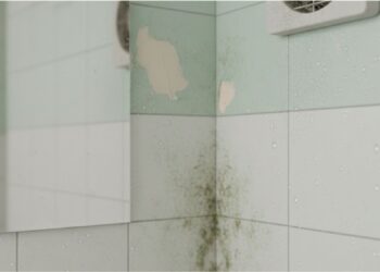 Banheiro sem janela: o erro que a maioria comete antes mesmo de pensar em solução