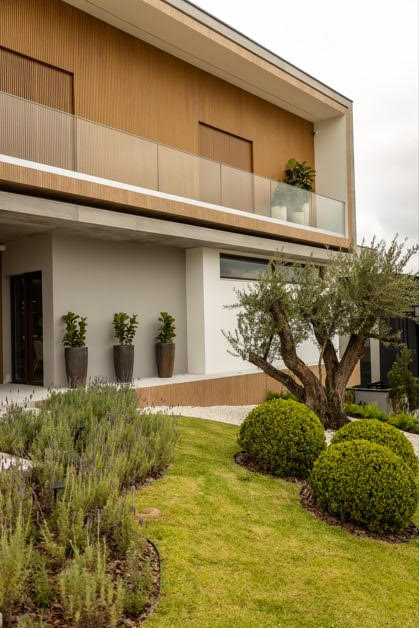 Por que alguns ambientes fazem você respirar fundo assim que entra: biofilia e neuroarquitetura aplicadas ao design de interiores