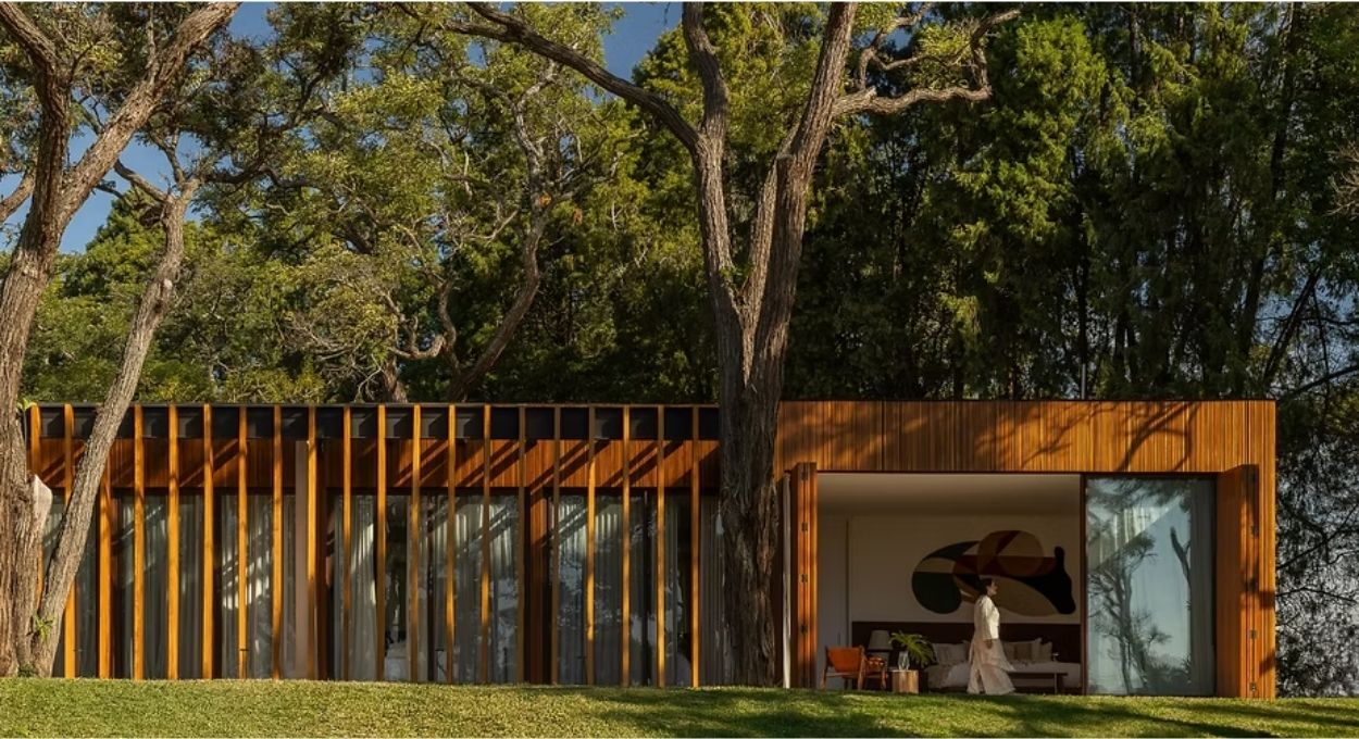 Casa GC: o projeto que abraçou uma árvore e fez dela o centro da arquitetura