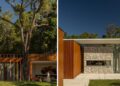 Casa GC: o projeto que abraçou uma árvore e fez dela o centro da arquitetura