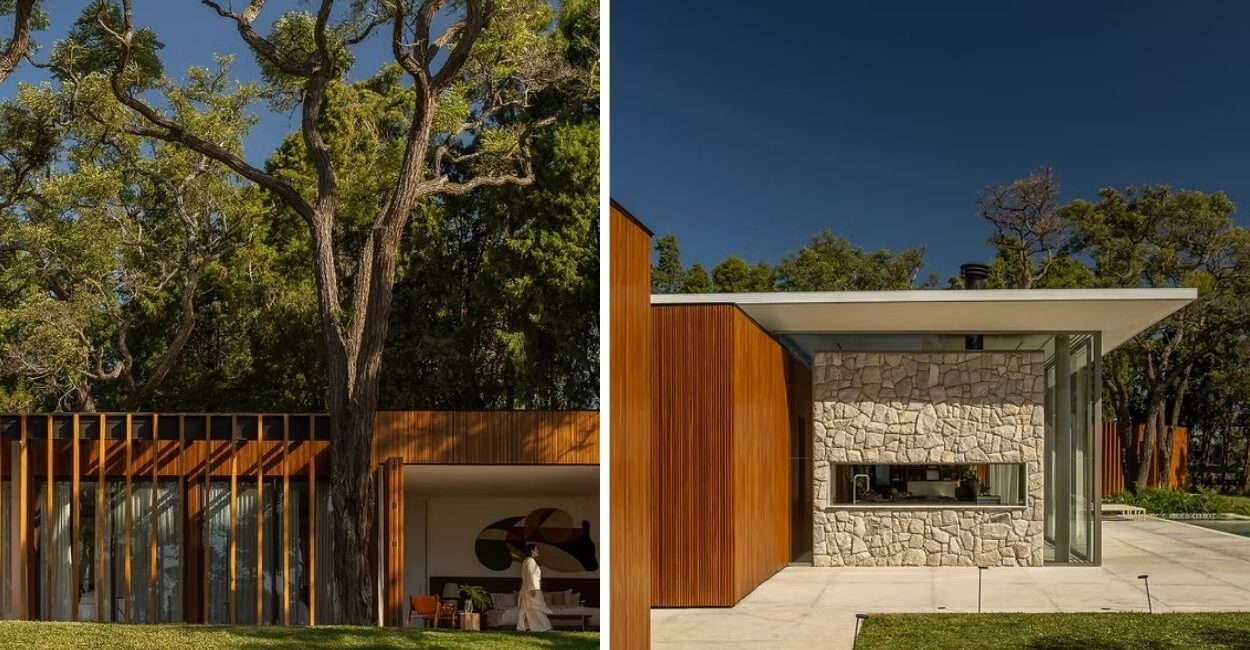 Casa GC: o projeto que abraçou uma árvore e fez dela o centro da arquitetura