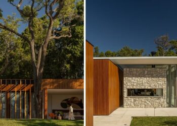 Casa GC: o projeto que abraçou uma árvore e fez dela o centro da arquitetura