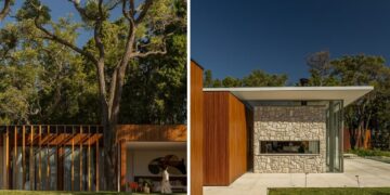 Casa GC: o projeto que abraçou uma árvore e fez dela o centro da arquitetura