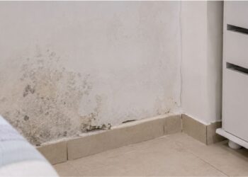Umidade na parede: como proteger, tratar e escolher o revestimento certo
