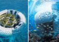 Baobá flutuante em Madagascar transforma sistema prisional, gera energia renovável e ainda pode virar resort ecológico