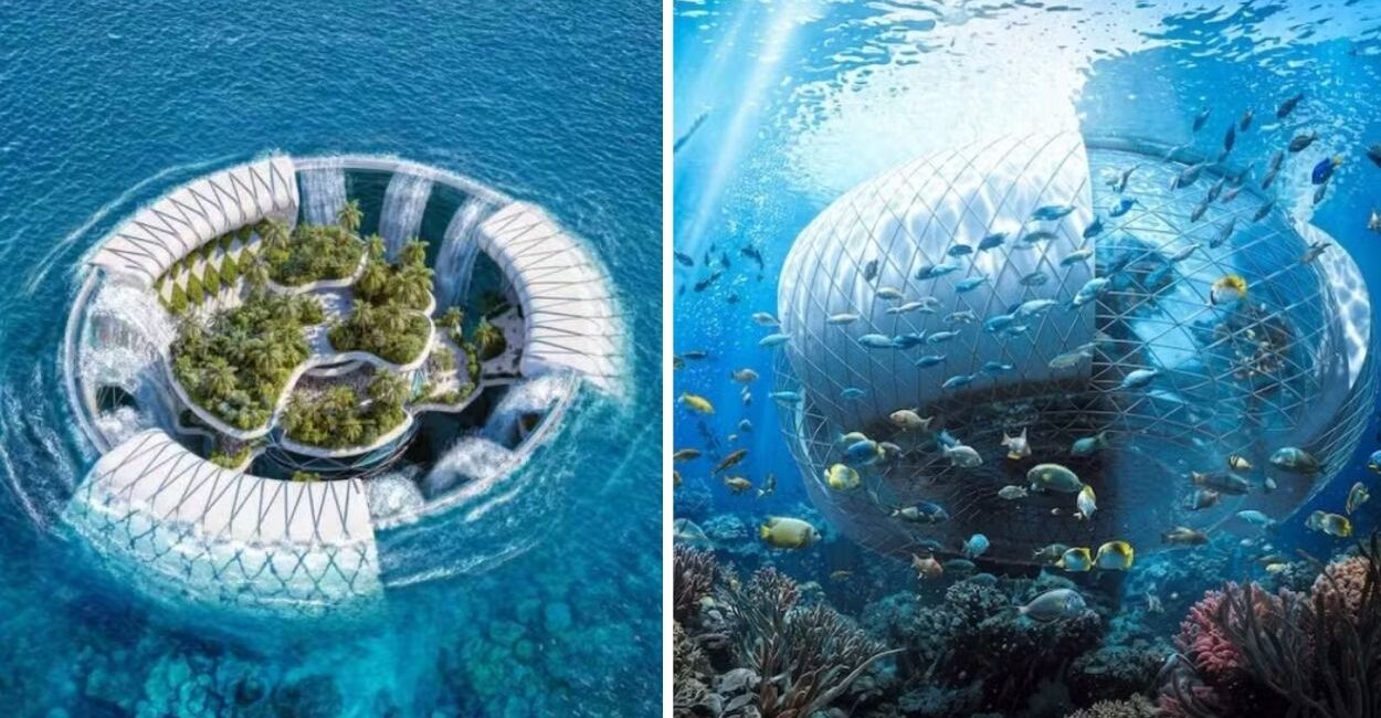 Baobá flutuante em Madagascar transforma sistema prisional, gera energia renovável e ainda pode virar resort ecológico