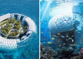 Baobá flutuante em Madagascar transforma sistema prisional, gera energia renovável e ainda pode virar resort ecológico