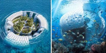 Baobá flutuante em Madagascar transforma sistema prisional, gera energia renovável e ainda pode virar resort ecológico