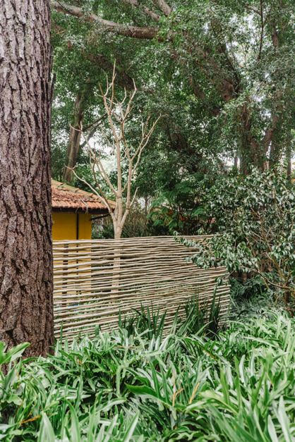 Paisagismo na CASACOR SP 2026: quando intervir menos é a decisão mais técnica do projeto