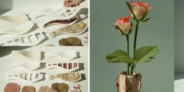 O que acontece com as flores rejeitadas antes de chegar às lojas e como um estúdio de design transformou esse problema em matéria-prima