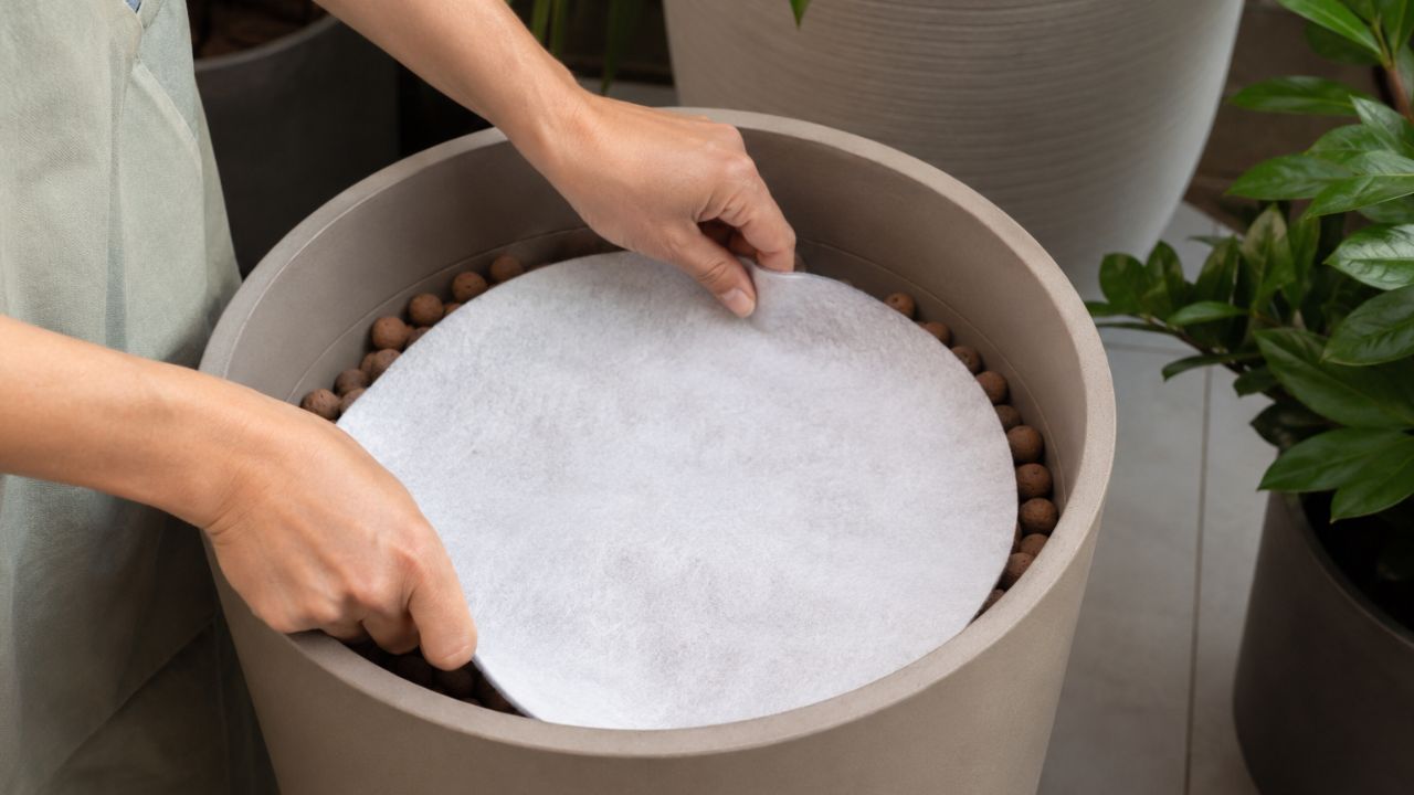 Vasos para plantas: como montar corretamente e evitar os erros mais comuns