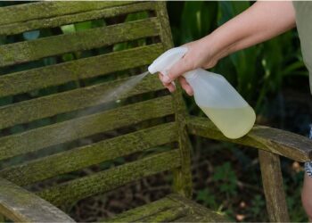 Especialista explica como usar vinagre para remover musgo e algas de móveis de jardim