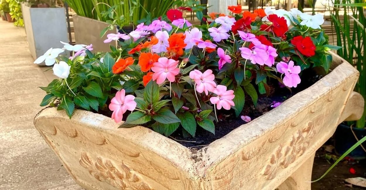 Foto: floriculturaoestegardenlem