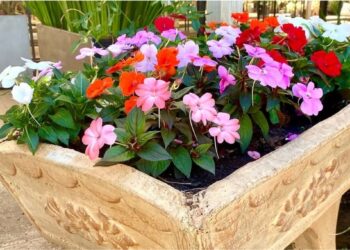 Foto: floriculturaoestegardenlem