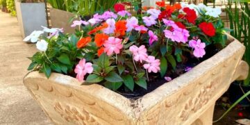 Foto: floriculturaoestegardenlem