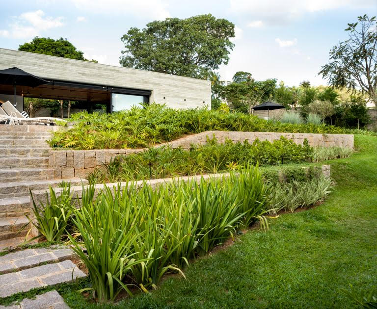 O motivo técnico pelo qual seu jardim precisa de gramado E forração, não apenas um dos dois