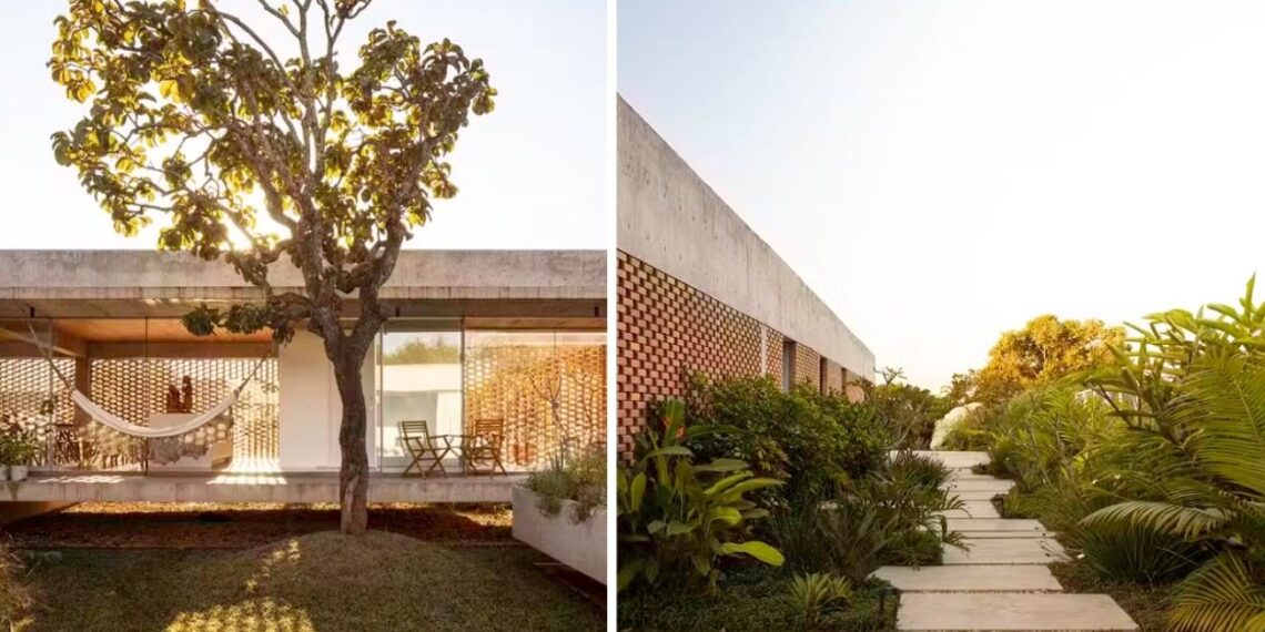 Foto: Joana França