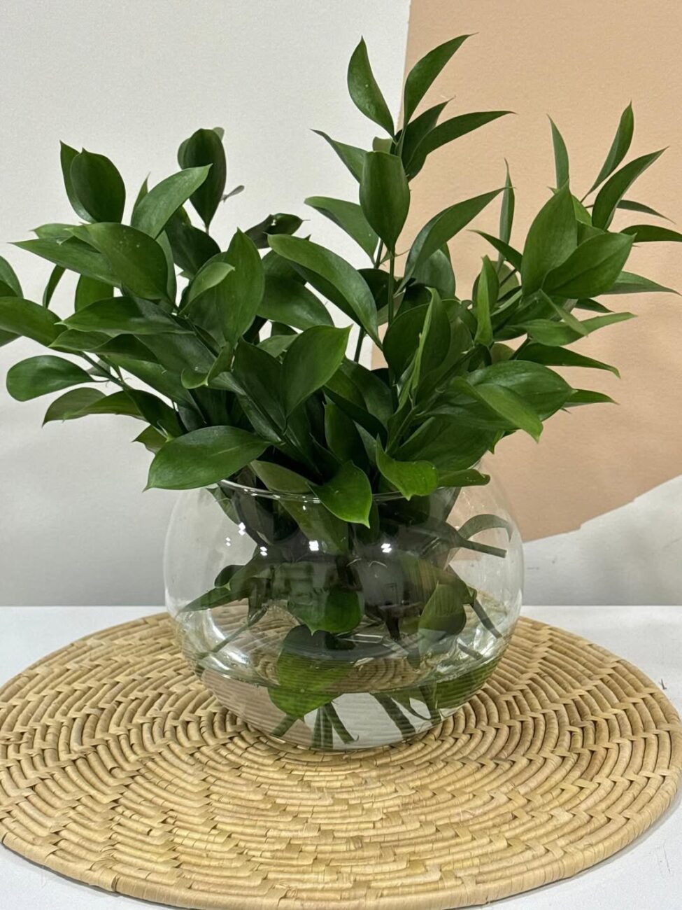 Por que plantas artificiais continuam "esfriando" a decoração da sua casa?