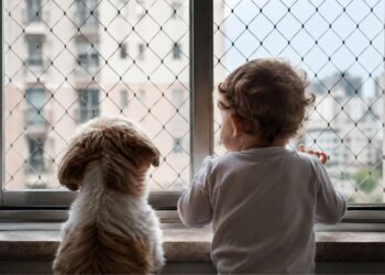 É obrigatório colocar rede de proteção em apartamento? O que diz a nova lei?