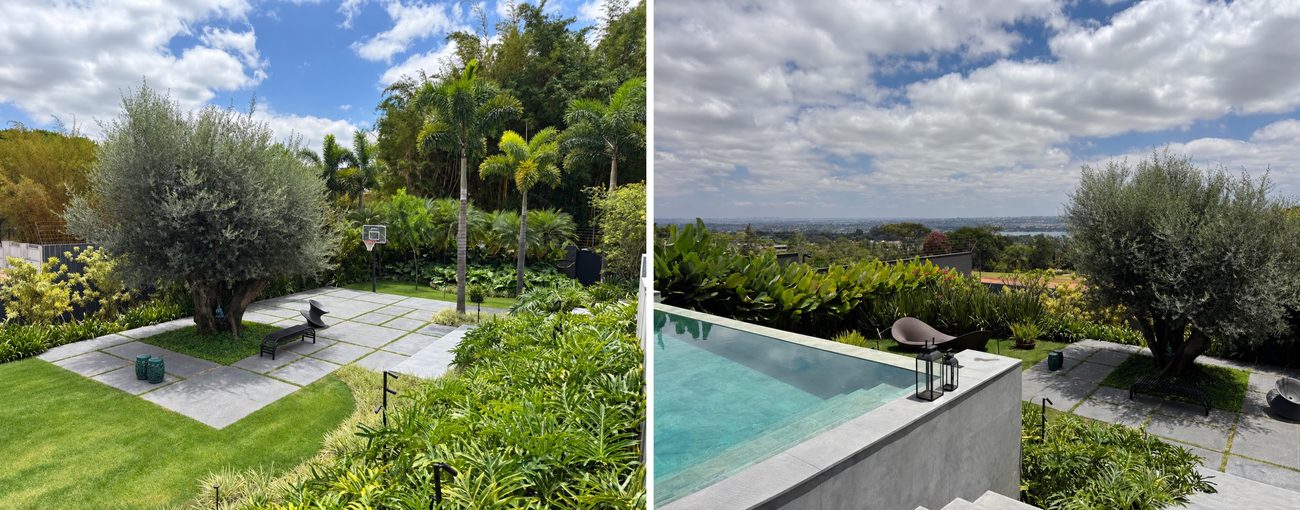 Casa contemporânea em Brasília ganha jardim tropical denso: entenda como a vegetação preserva vista e privacidade da residência