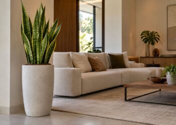 Espada-de-são-jorge combina com decoração minimalista mesmo? veja como o vaso alto muda a presença da planta na sala