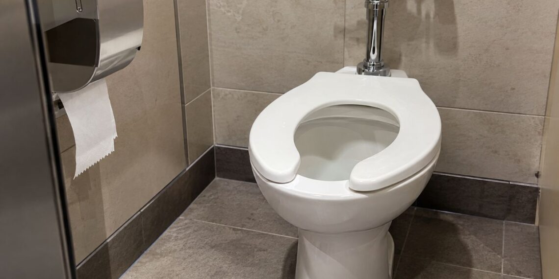 Abertura frontal no vaso sanitário: por que os banheiros públicos usam assento em formato de U e onde ele faz sentido