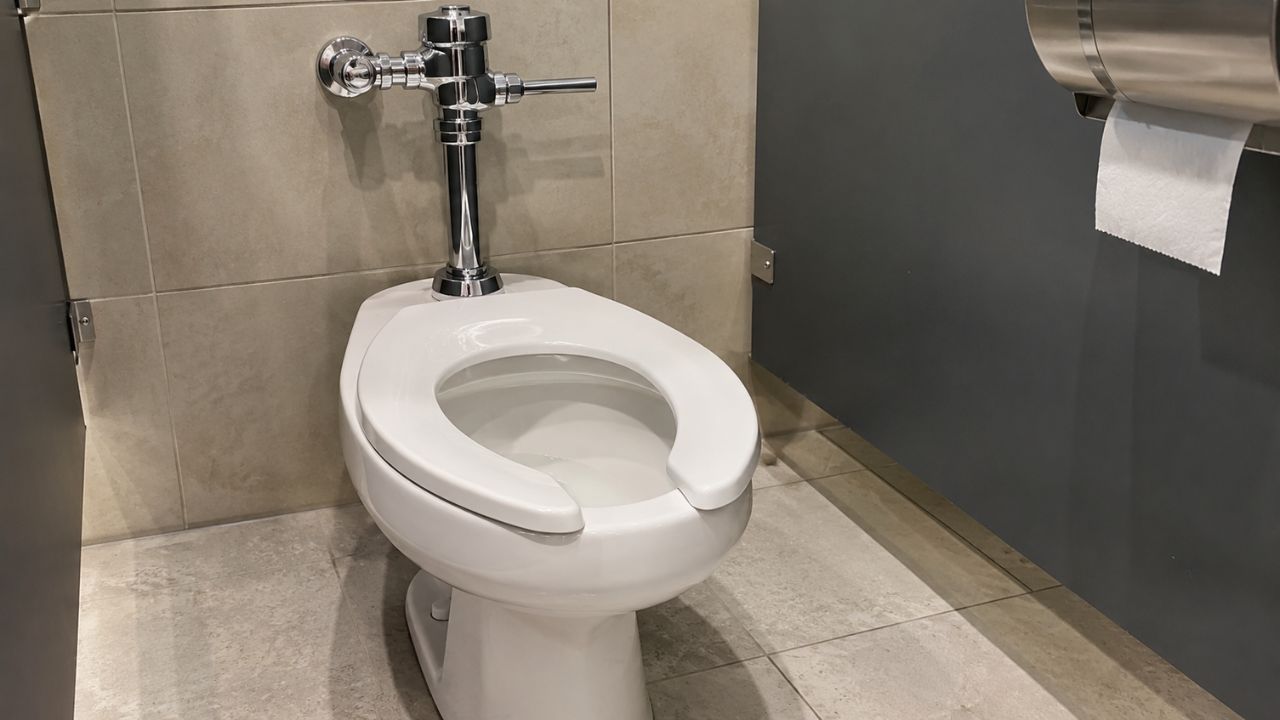 Abertura frontal no vaso sanitário: por que os banheiros públicos usam assento em formato de U e onde ele faz sentido
