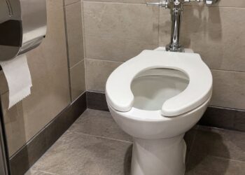 Abertura frontal no vaso sanitário: por que os banheiros públicos usam assento em formato de U e onde ele faz sentido