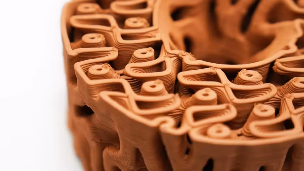 Design biomimético transforma cerâmica em casa para musgo e inseto: acredita nisso?