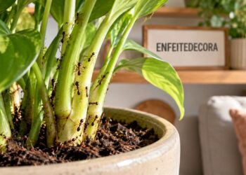 Casca de alho e cravo afastam formigas das plantas? Veja o que realmente funciona e quando a praga exige outra solução